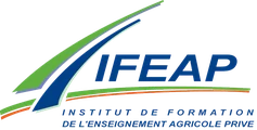 Logo IFEAP